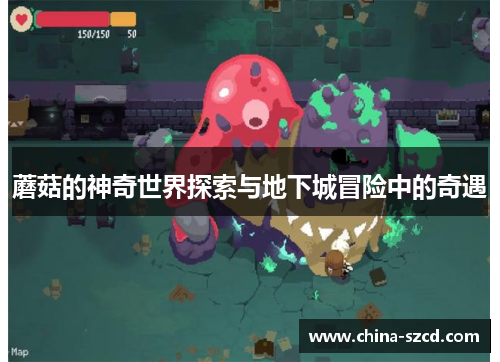 蘑菇的神奇世界探索与地下城冒险中的奇遇