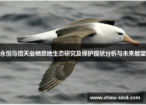 永恒岛信天翁栖息地生态研究及保护现状分析与未来展望
