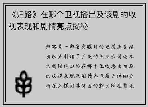 《归路》在哪个卫视播出及该剧的收视表现和剧情亮点揭秘